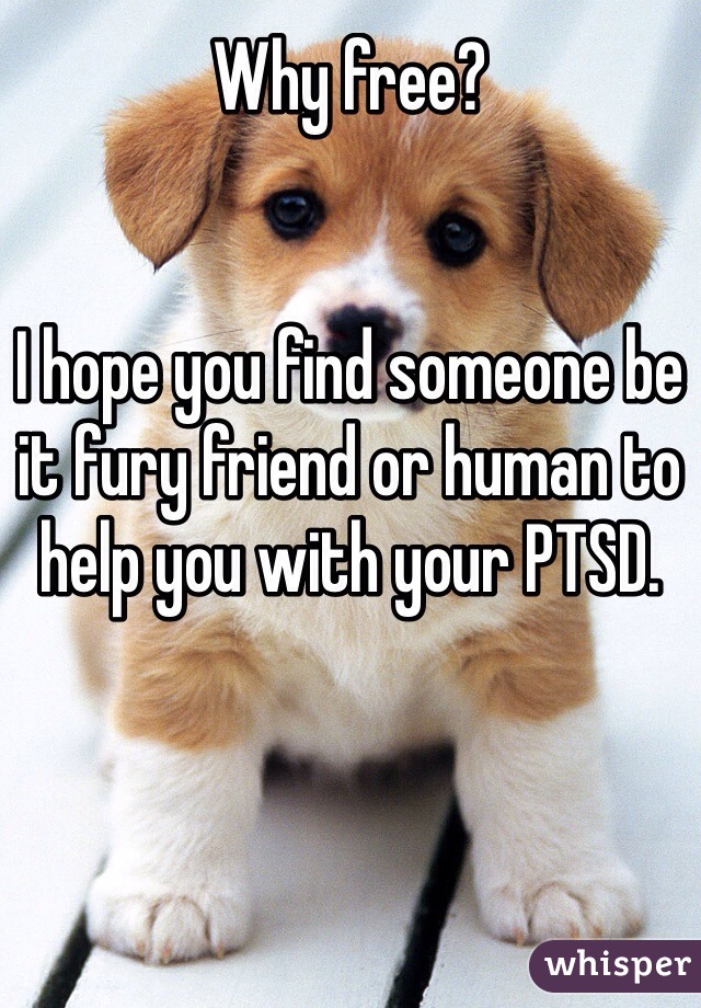 Why free? 


I hope you find someone be it fury friend or human to help you with your PTSD.
