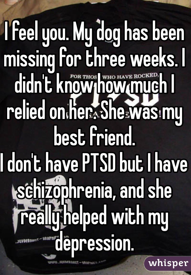 I feel you. My dog has been missing for three weeks. I didn't know how much I relied on her. She was my best friend. 
I don't have PTSD but I have schizophrenia, and she really helped with my depression.