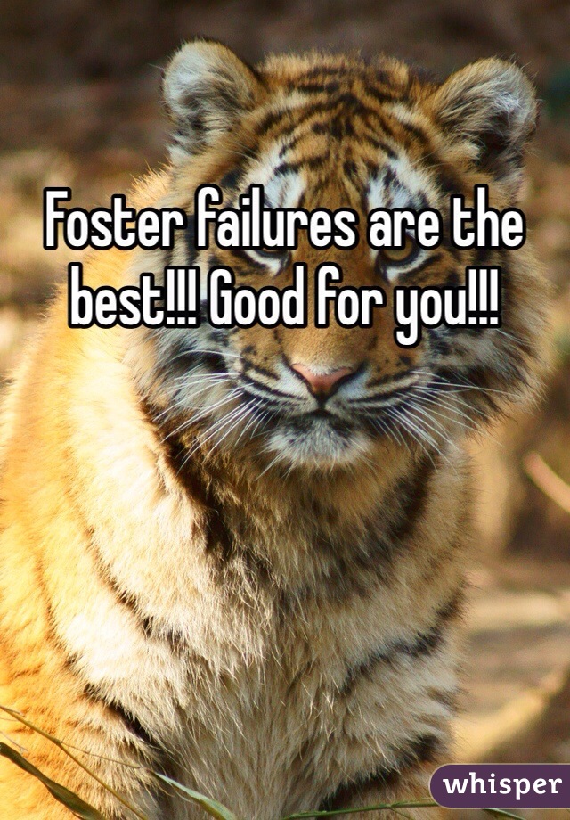 Foster failures are the best!!! Good for you!!!