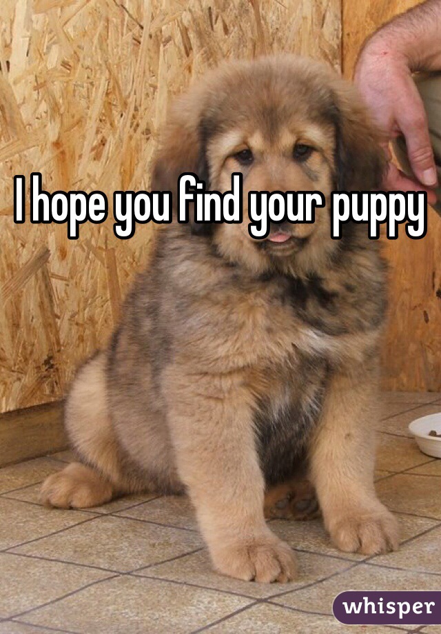 I hope you find your puppy 