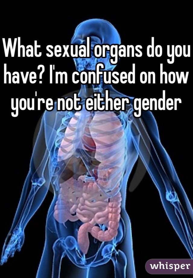 What sexual organs do you have? I'm confused on how you're not either gender