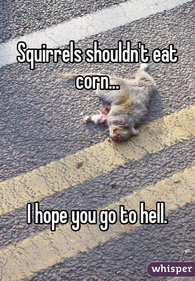 Squirrels shouldn't eat corn...




I hope you go to hell. 