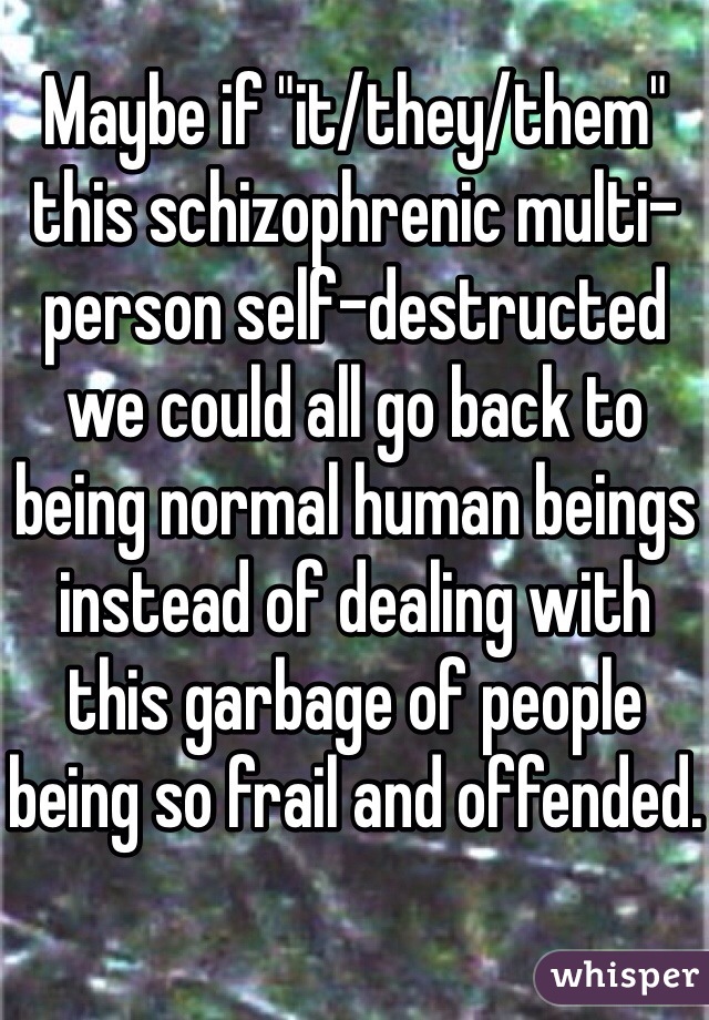 Maybe if "it/they/them" this schizophrenic multi-person self-destructed we could all go back to being normal human beings instead of dealing with this garbage of people being so frail and offended.
