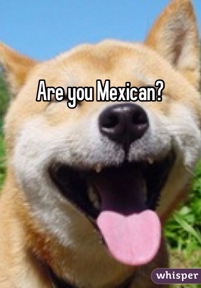 Are you Mexican?