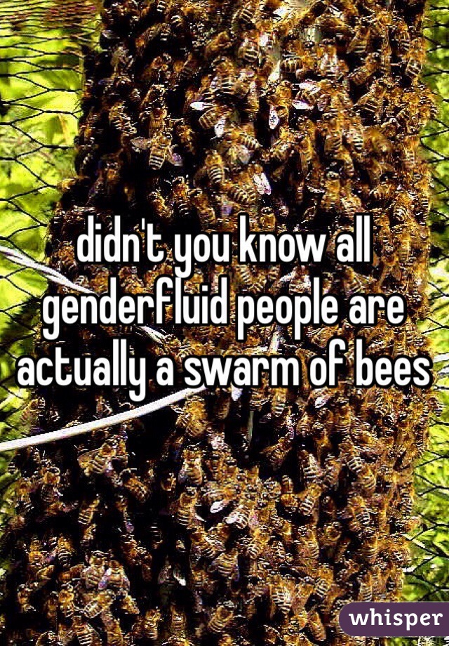 didn't you know all genderfluid people are actually a swarm of bees