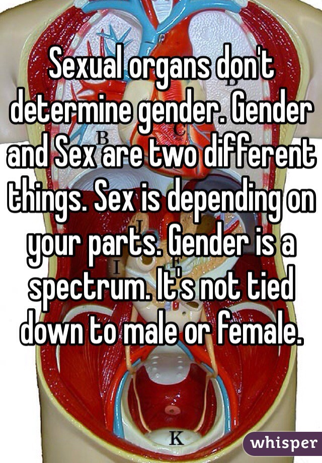 Sexual organs don't determine gender. Gender and Sex are two different things. Sex is depending on your parts. Gender is a spectrum. It's not tied down to male or female. 