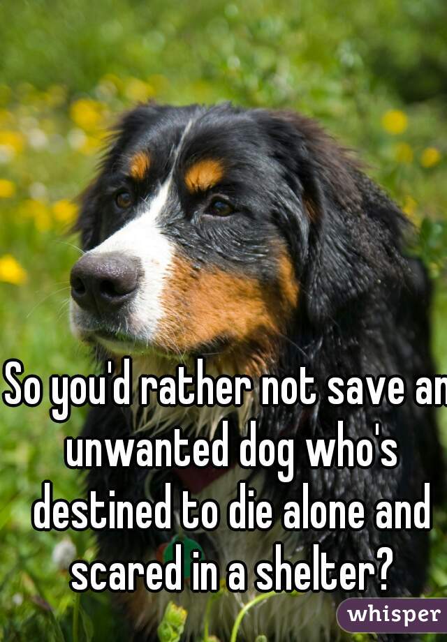 So you'd rather not save an unwanted dog who's destined to die alone and scared in a shelter?