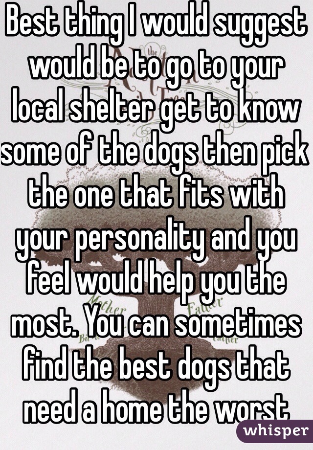 Best thing I would suggest would be to go to your local shelter get to know some of the dogs then pick the one that fits with your personality and you feel would help you the most. You can sometimes find the best dogs that need a home the worst 