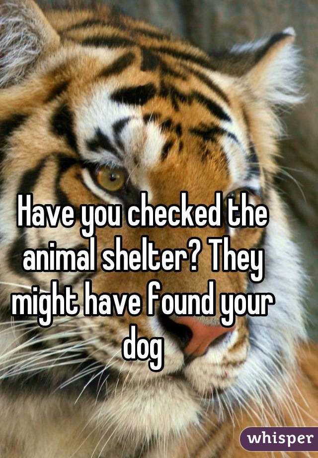 Have you checked the animal shelter? They might have found your dog