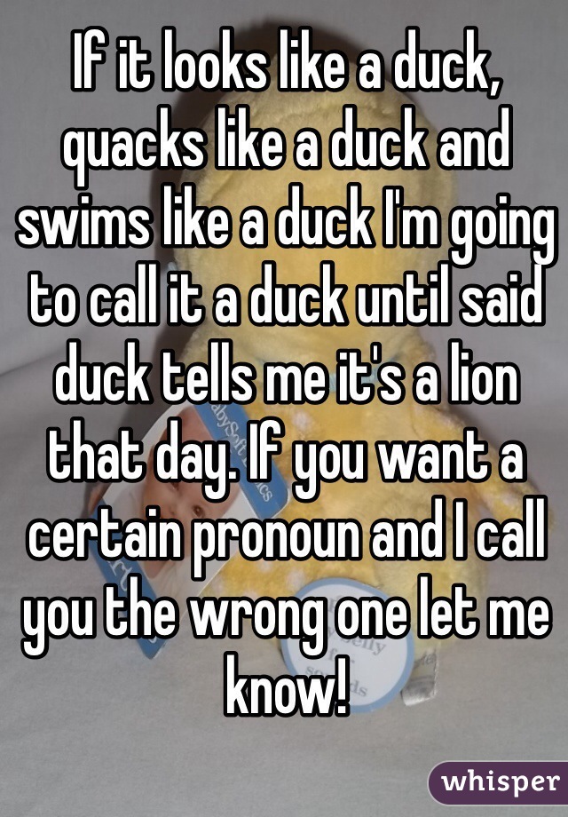 If it looks like a duck, quacks like a duck and swims like a duck I'm going to call it a duck until said duck tells me it's a lion that day. If you want a certain pronoun and I call you the wrong one let me know! 
