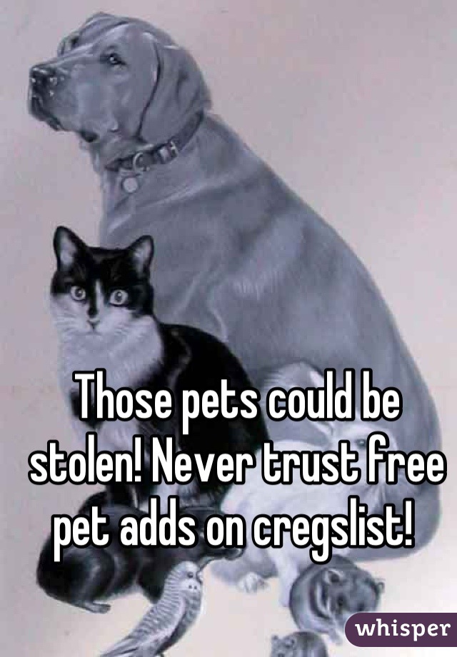 Those pets could be stolen! Never trust free pet adds on cregslist! 