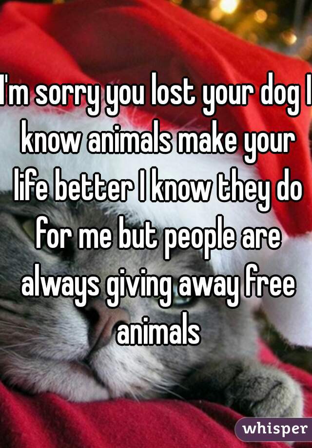 I'm sorry you lost your dog I know animals make your life better I know they do for me but people are always giving away free animals