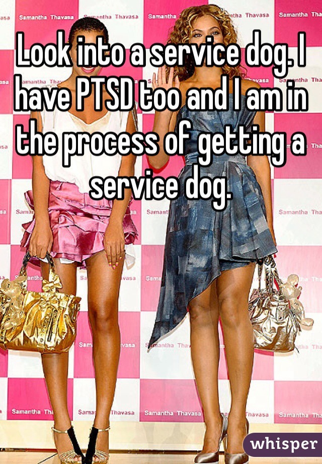 Look into a service dog. I have PTSD too and I am in the process of getting a service dog. 