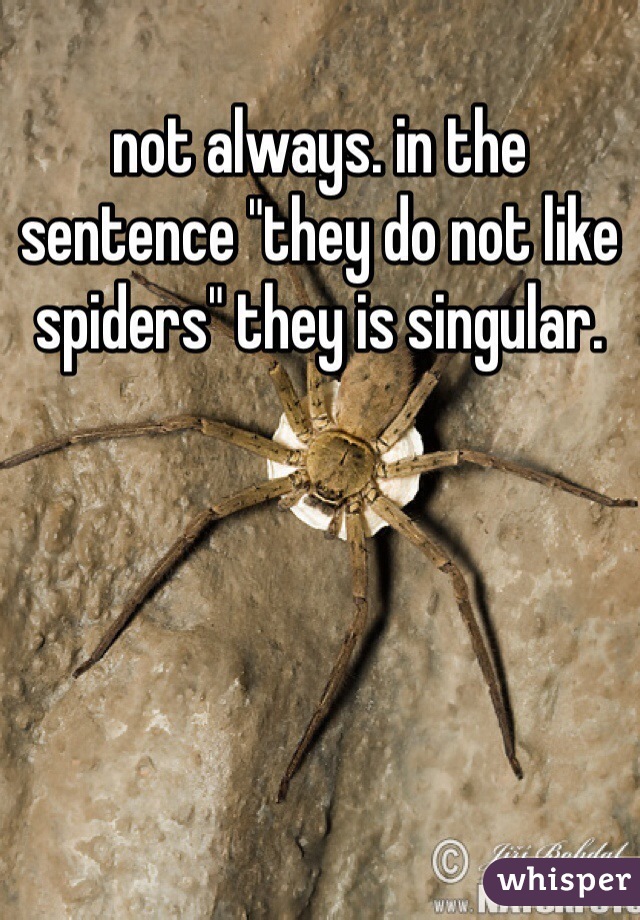 not always. in the sentence "they do not like spiders" they is singular.