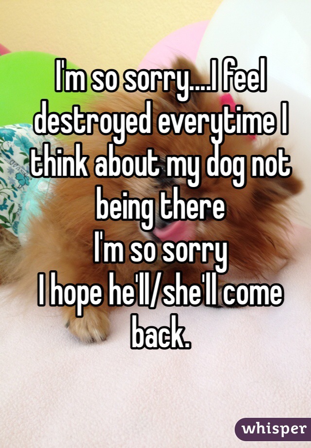 I'm so sorry....I feel destroyed everytime I think about my dog not being there
I'm so sorry
I hope he'll/she'll come back.