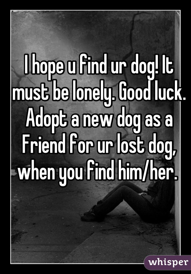 I hope u find ur dog! It must be lonely. Good luck. Adopt a new dog as a Friend for ur lost dog, when you find him/her. 