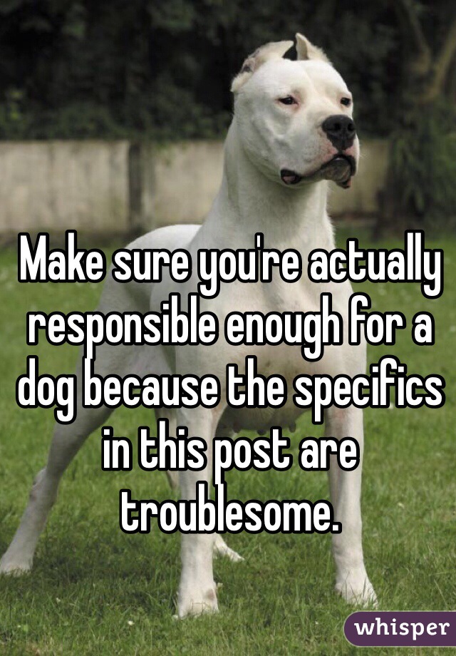 Make sure you're actually responsible enough for a dog because the specifics in this post are troublesome.