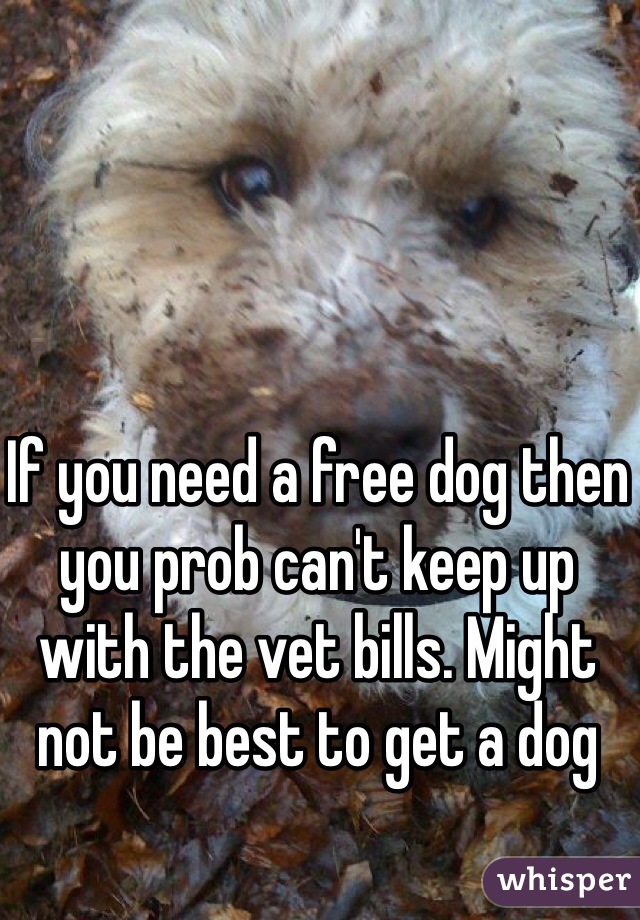 If you need a free dog then you prob can't keep up with the vet bills. Might not be best to get a dog