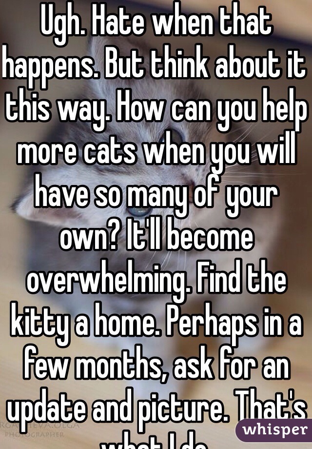 Ugh. Hate when that happens. But think about it this way. How can you help more cats when you will have so many of your own? It'll become overwhelming. Find the kitty a home. Perhaps in a few months, ask for an update and picture. That's what I do. 