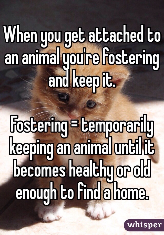 When you get attached to an animal you're fostering and keep it. 

Fostering = temporarily keeping an animal until it becomes healthy or old enough to find a home.