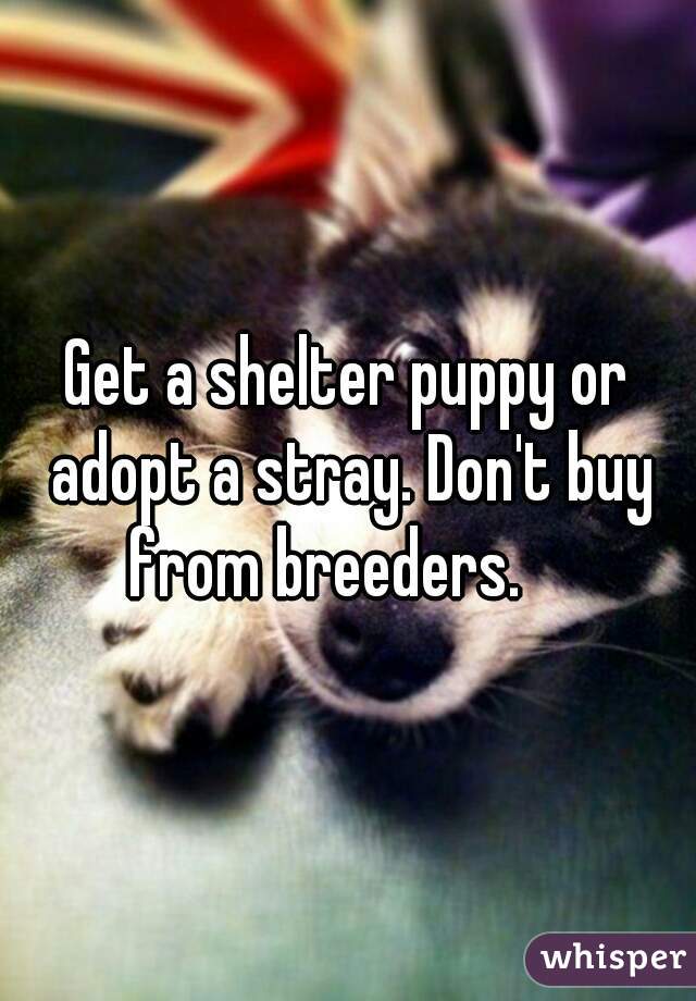Get a shelter puppy or adopt a stray. Don't buy from breeders.    