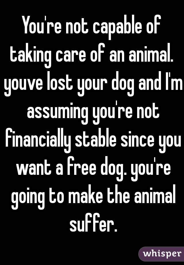 You're not capable of taking care of an animal.  youve lost your dog and I'm assuming you're not financially stable since you want a free dog. you're going to make the animal suffer.