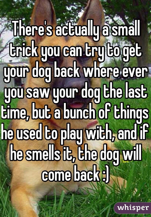 There's actually a small trick you can try to get your dog back where ever you saw your dog the last time, but a bunch of things he used to play with, and if he smells it, the dog will come back :)