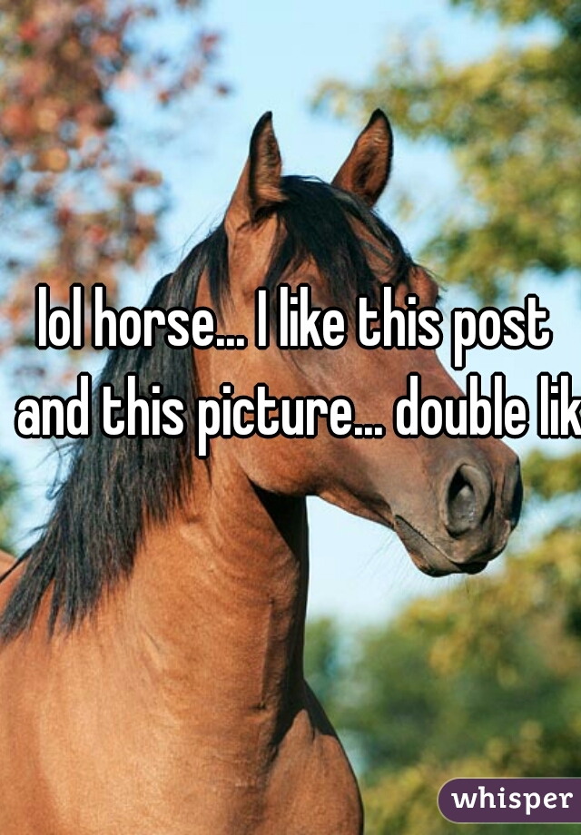 lol horse... I like this post and this picture... double like