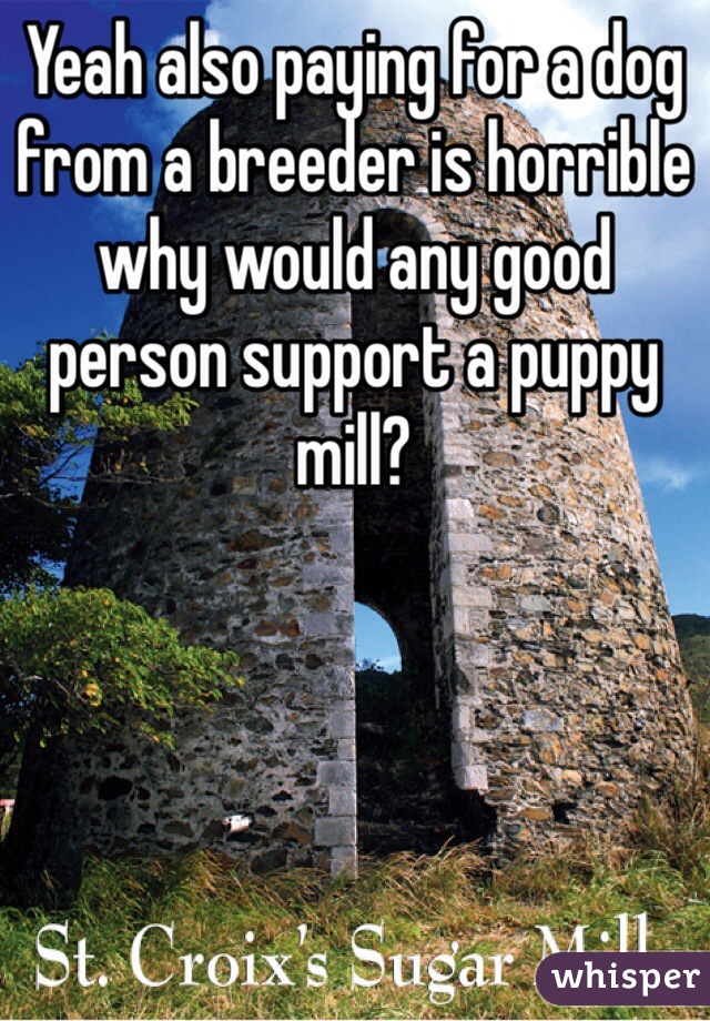 Yeah also paying for a dog from a breeder is horrible why would any good person support a puppy mill?