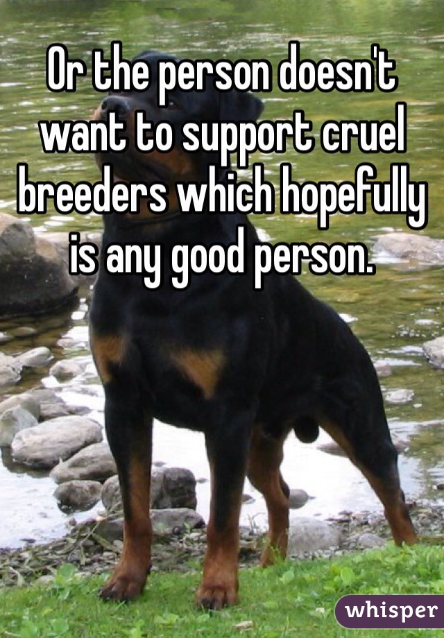 Or the person doesn't want to support cruel breeders which hopefully is any good person. 