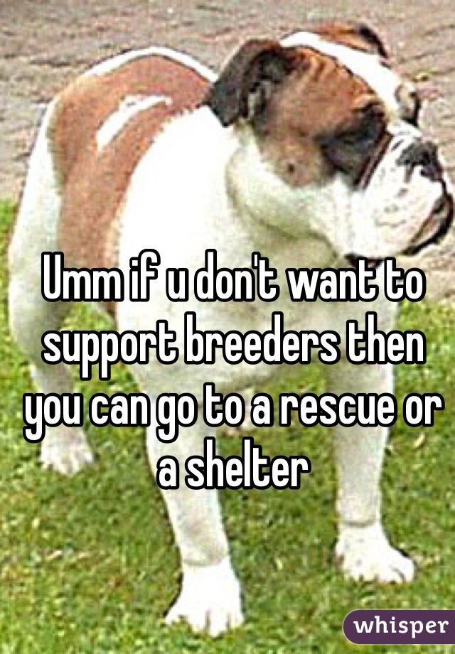 Umm if u don't want to support breeders then you can go to a rescue or a shelter 