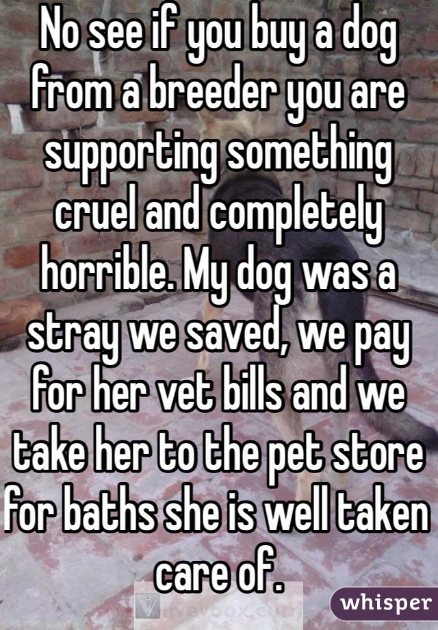 No see if you buy a dog from a breeder you are supporting something cruel and completely horrible. My dog was a stray we saved, we pay for her vet bills and we take her to the pet store for baths she is well taken care of. 