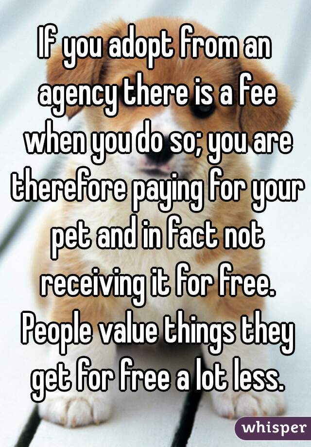If you adopt from an agency there is a fee when you do so; you are therefore paying for your pet and in fact not receiving it for free. People value things they get for free a lot less.