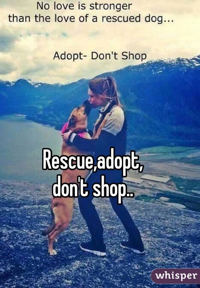 Rescue,adopt, 
don't shop..