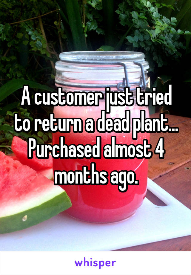 A customer just tried to return a dead plant... Purchased almost 4 months ago.