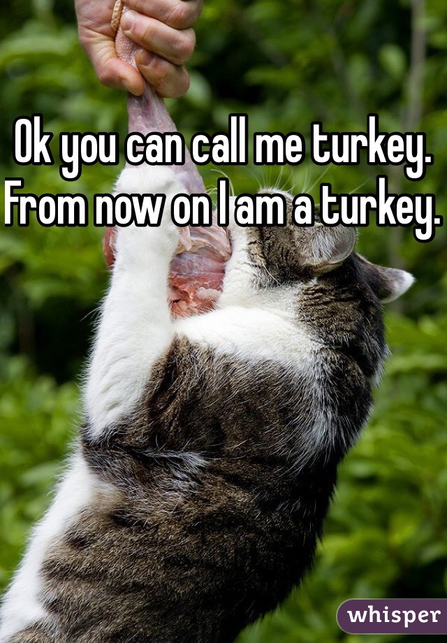 Ok you can call me turkey. From now on I am a turkey.  