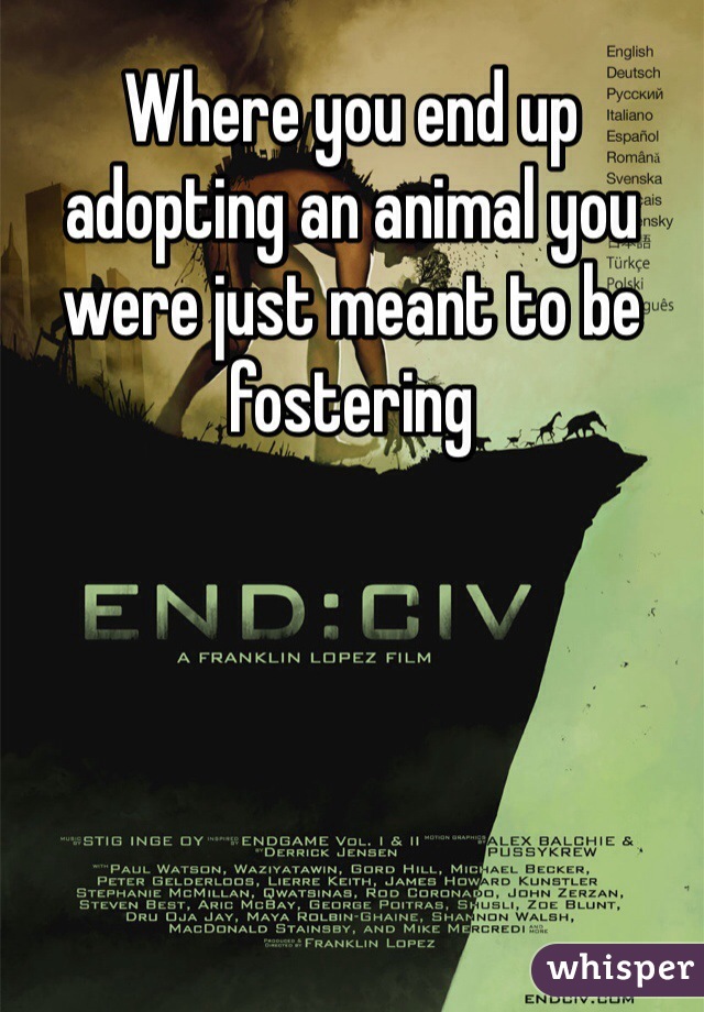 Where you end up adopting an animal you were just meant to be fostering