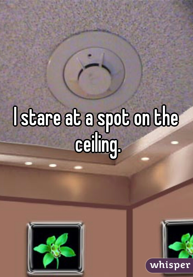 I stare at a spot on the ceiling.