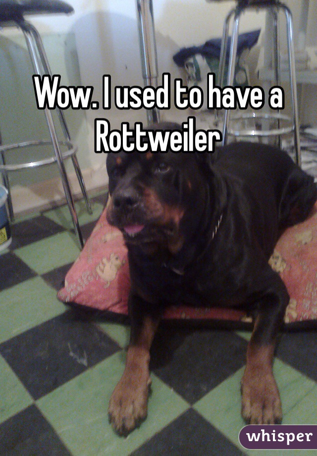 Wow. I used to have a Rottweiler 