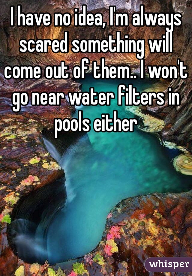 I have no idea, I'm always scared something will come out of them.. I won't go near water filters in pools either 