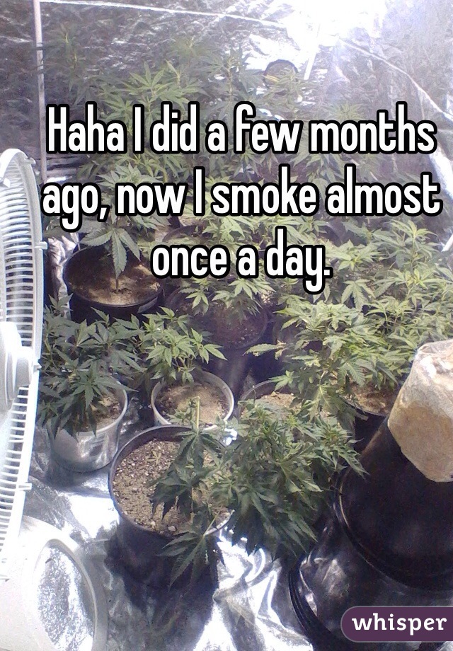 Haha I did a few months ago, now I smoke almost once a day.
