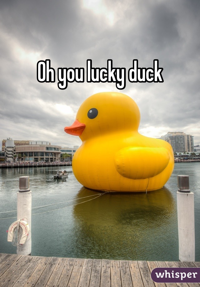 Oh you lucky duck