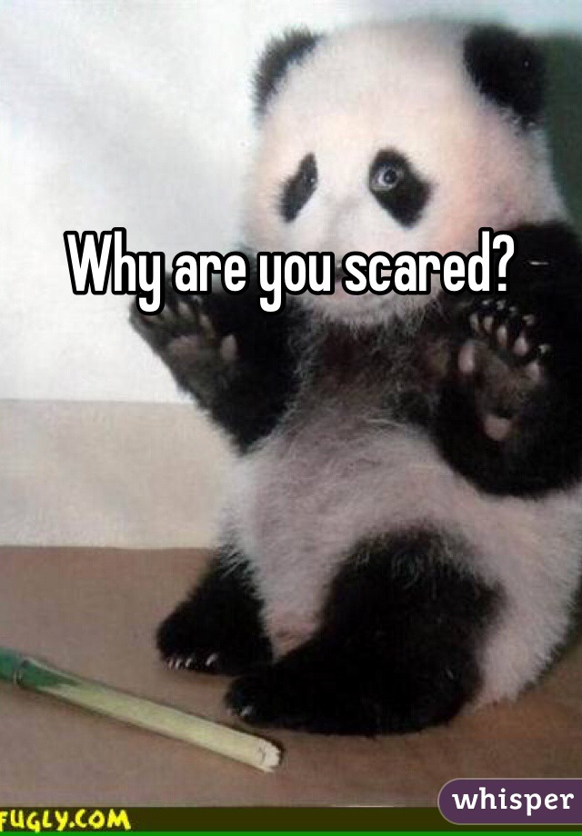 Why are you scared?