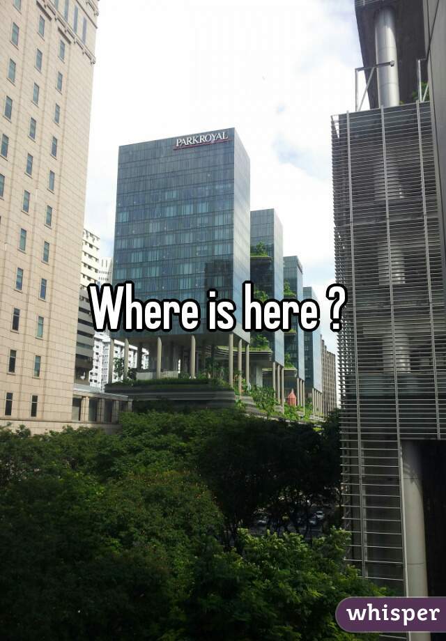 Where is here ? 