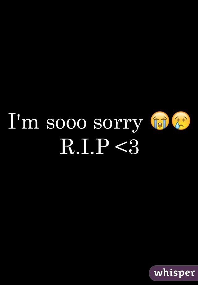 I'm sooo sorry 😭😢 R.I.P <3