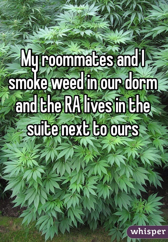 My roommates and I smoke weed in our dorm and the RA lives in the suite next to ours