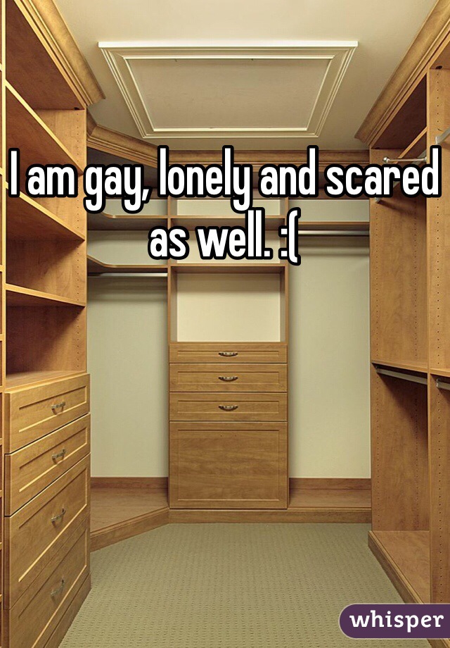 I am gay, lonely and scared as well. :(