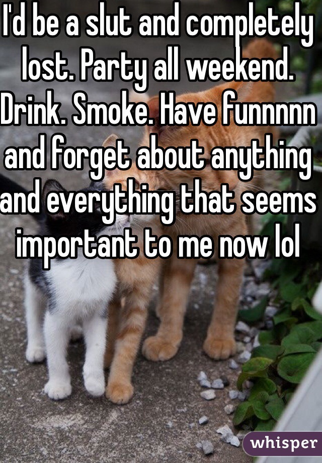 I'd be a slut and completely lost. Party all weekend. Drink. Smoke. Have funnnnn and forget about anything and everything that seems important to me now lol