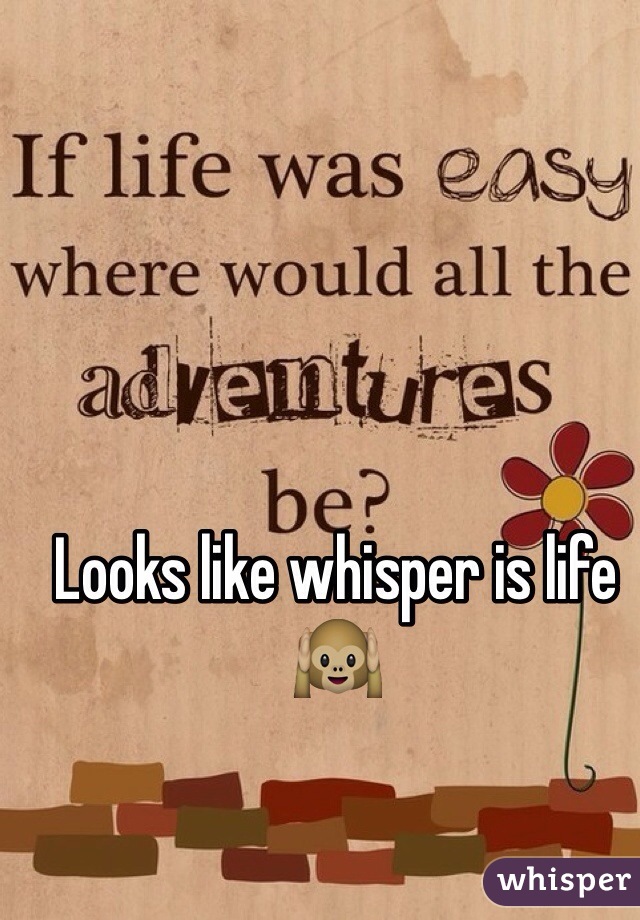 Looks like whisper is life 🙉