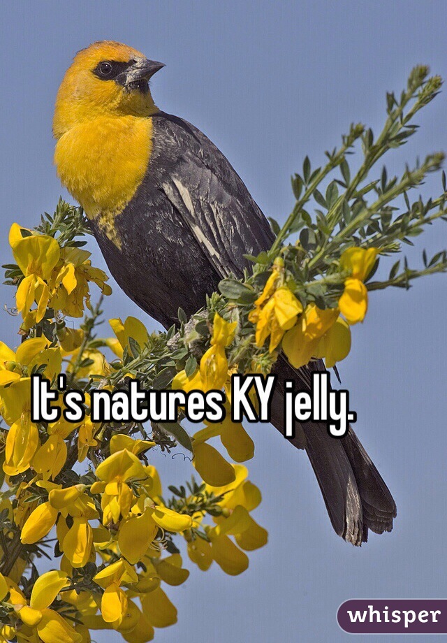 It's natures KY jelly. 